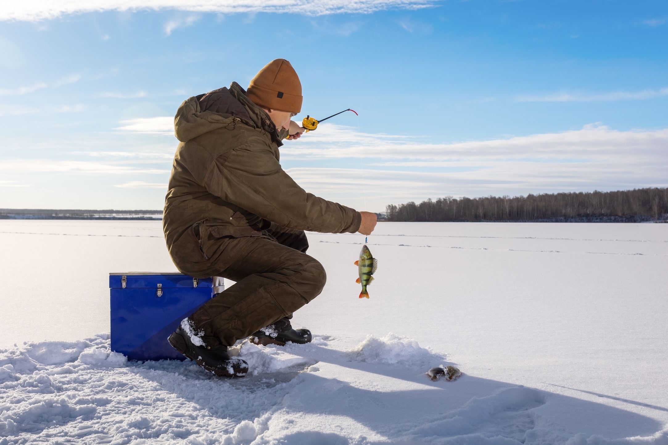  Angrellaipo  : Tu guía experta para el hielo invernal